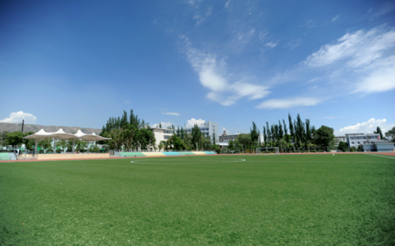 2024考生参考：2023青海大学昆仑学院财务管理专业在河北招生录取分数及录取位次