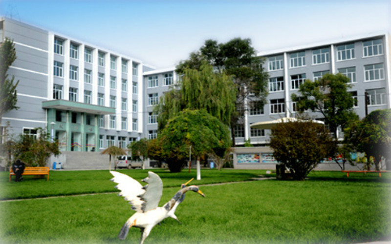2023年青海大学昆仑学院在甘肃招生专业及招生人数汇总