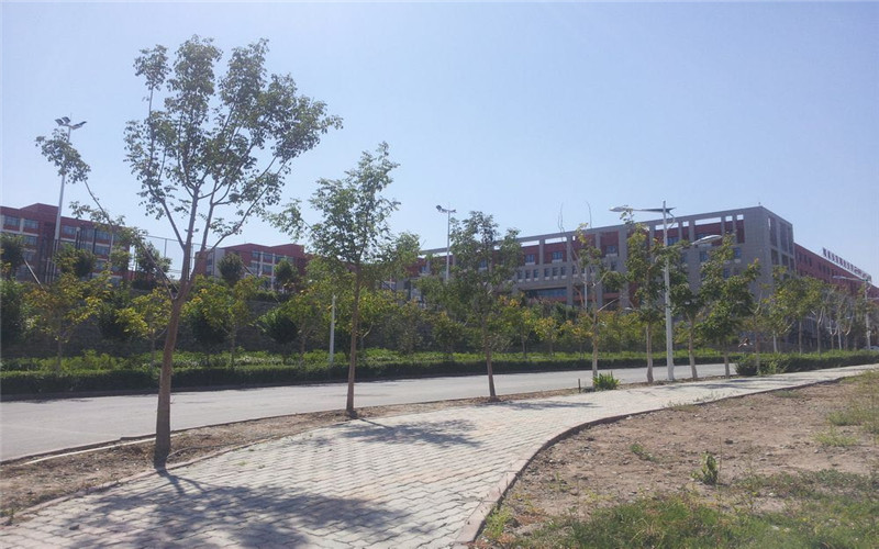 乌鲁木齐职业大学大数据与会计专业（三 ）录取分数线【新疆高考文科】