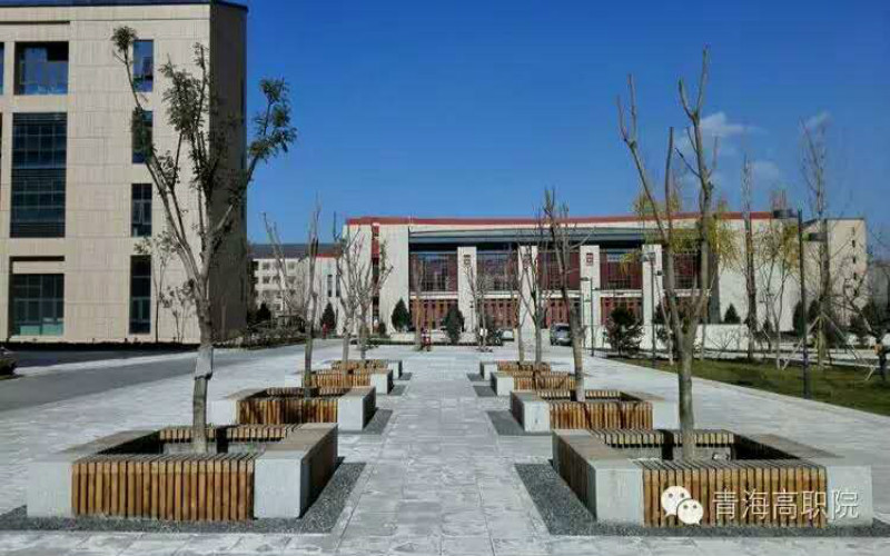 【2022高考】西宁城市职业技术学院在甘肃各专业录取分数线及选科要求