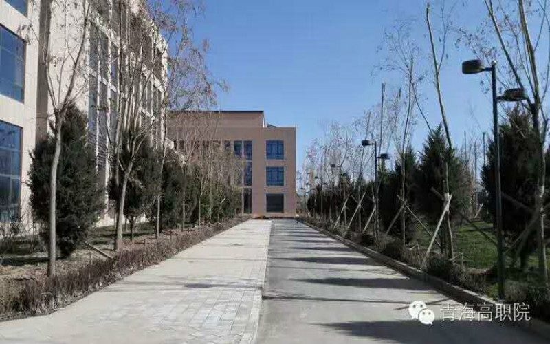 2023年青海高等职业技术学院在甘肃招生专业及招生人数汇总