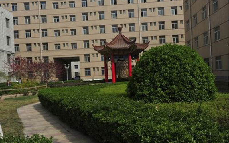 石家庄财经职业学院大数据与财务管理（税务师）专业在河北招生录取分数(物理类)：380分