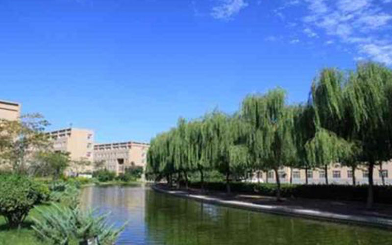 2023年沧州医学高等专科学校在黑龙江招生专业有哪些？学费是多少？