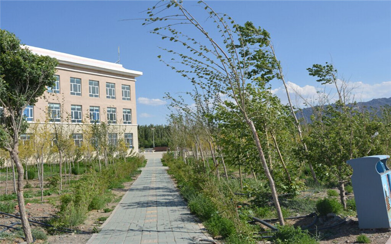 2024考生参考：2023新疆能源职业技术学院机电一体化技术专业在河北招生录取分数及录取位次