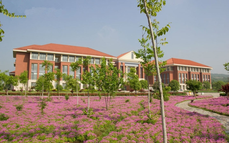 2023年南京传媒学院在山东招生专业有哪些？学费是多少？