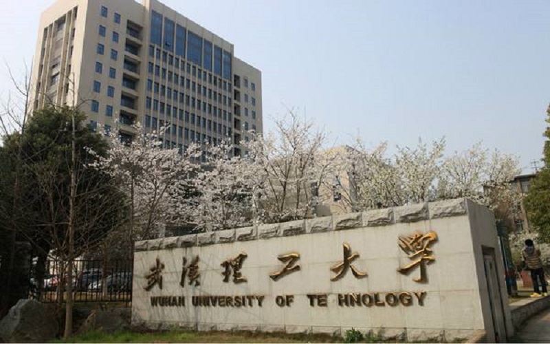 2023年山东考生多少分可以上武汉理工大学金融学（中外合作办学）专业？