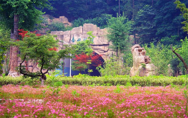 多少分可以上湖北医药学院药护学院？湖北医药学院药护学院2022年在吉林各招生专业录取分数汇总