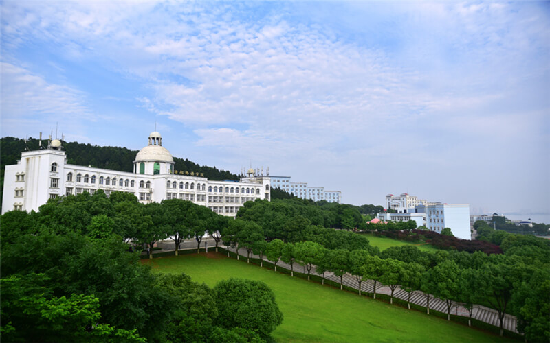 2024考生参考：2023武昌理工学院护理专业在山东招生录取分数及录取位次