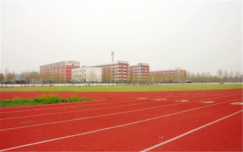 2023年郑州信息工程职业学院在河南招生专业及招生人数汇总