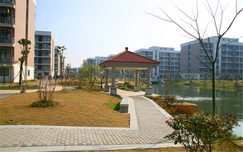 2023年浙江考生多少分可以上浙江财经大学东方学院信息管理与信息系统（数据挖掘与信息系统审计方向）专业？