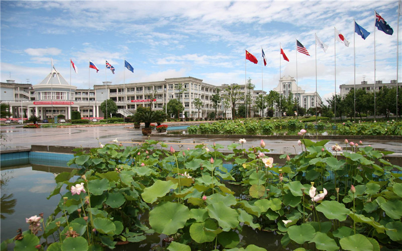 浙江外国语学院旅游管理专业在河北招生录取分数(物理类)：527分