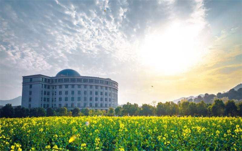 2023年浙江工业大学在重庆招生专业及招生人数汇总