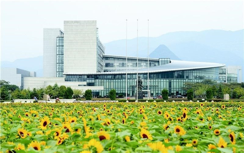 浙江师范大学学前教育专业录取分数线【浙江高考综合】