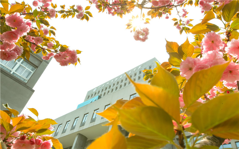 【2023高考参考】宁波城市职业技术学院2022年河南招生专业及招生计划一览表