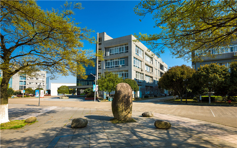宁波城市职业技术学院应用电子技术专业在浙江招生录取分数(综合)：486分