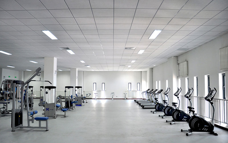 首都师范大学科德学院2021年在河南省招生专业及各专业招生计划人数