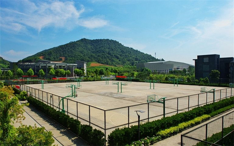 杭州科技职业技术学院跨境电子商务专业在浙江招生录取分数(综合)：483分