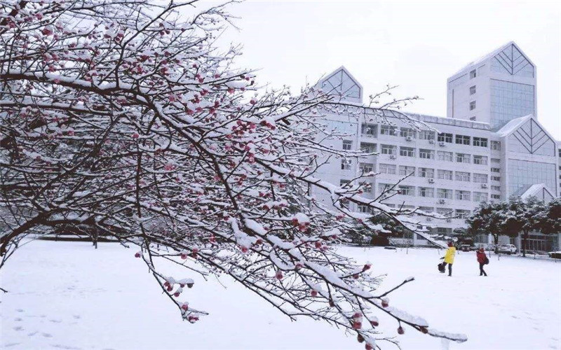 2022年浙江水利水电学院在四川招生专业及招生人数汇总（2023考生参考）