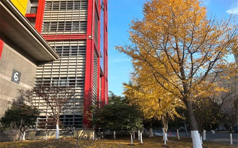 重庆历史类考生排多少名可以上浙江传媒学院网络与新媒体专业?