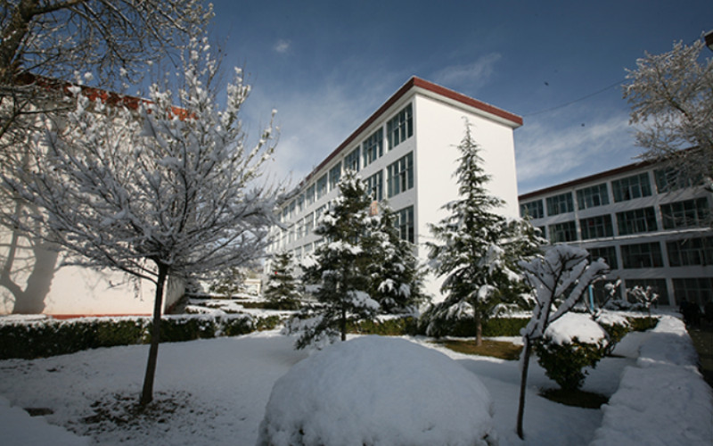 2023年重庆考生多少分可以上西藏大学金融学专业？