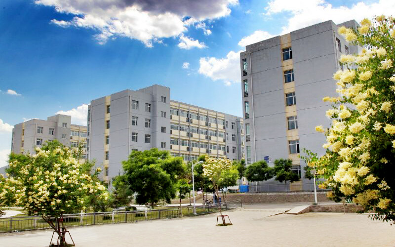 青海大学环境工程专业在山东招生录取分数(综合)：546分