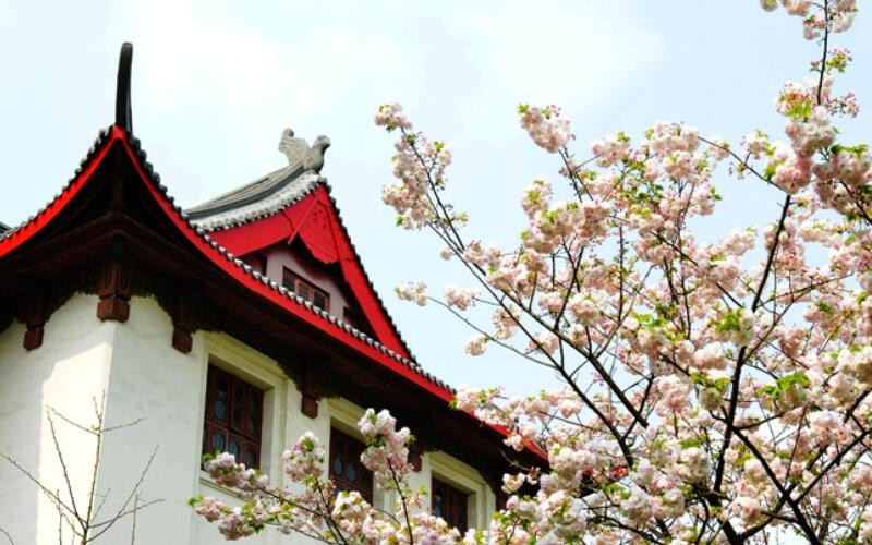 2023年河北考生多少分可以上四川大学建筑学专业？