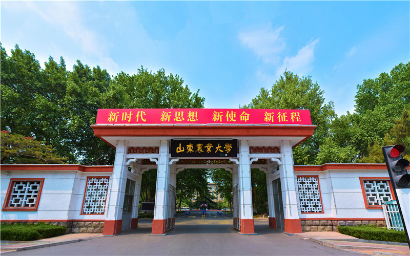 2023年山东农业大学在新疆招生专业及招生人数汇总
