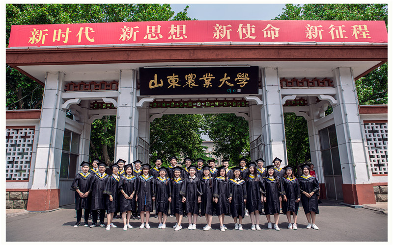 2023年重庆考生多少分可以上山东农业大学文化产业管理专业？