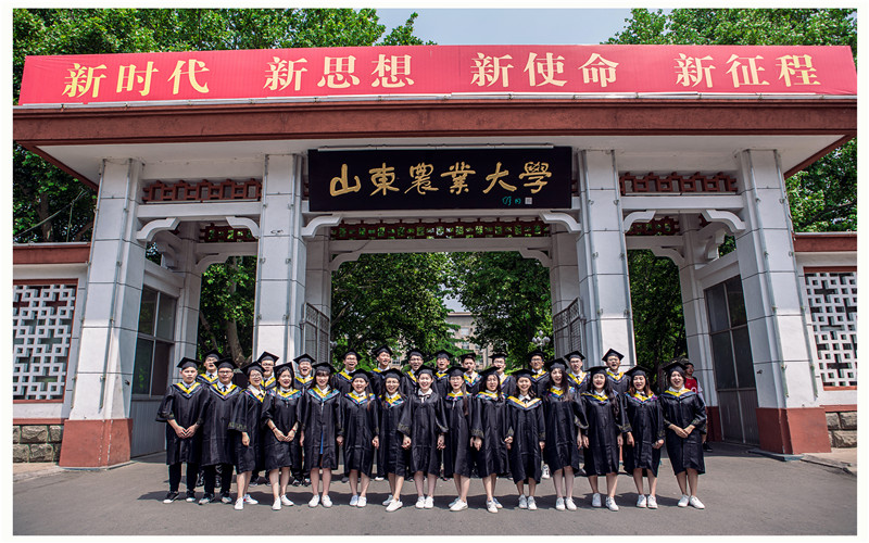 山东农业大学农业资源与环境（地方专项计划）专业在山东招生录取分数(综合)：508分