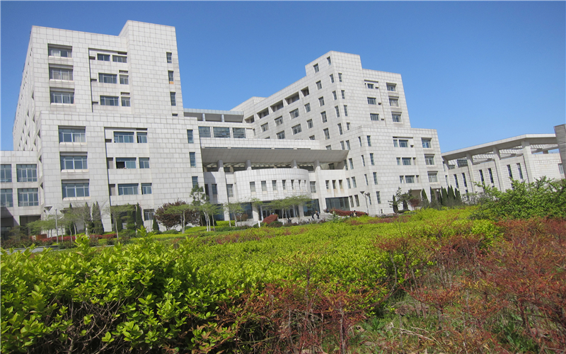 浙江综合考生排多少名可以上河南大学俄语专业?