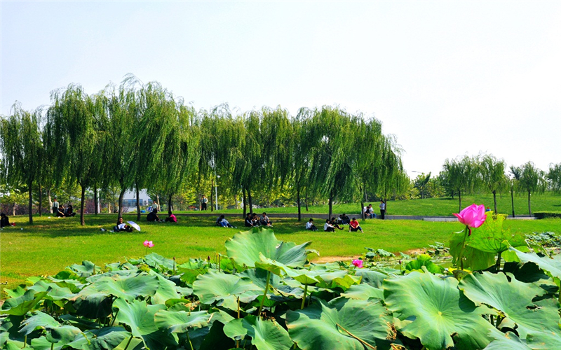 2023年华北水利水电大学在黑龙江招生专业及招生人数汇总