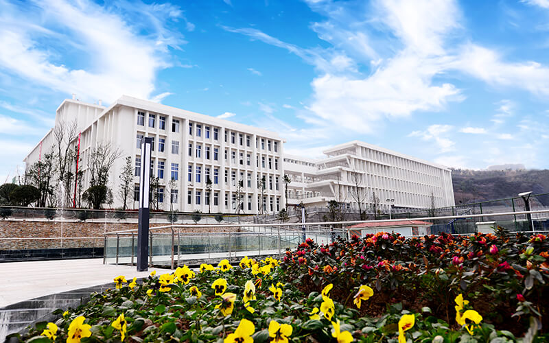 2023年天府新区信息职业学院在青海招生专业有哪些？学费是多少？