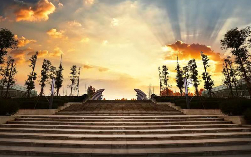 2024年天府新区信息职业学院高速铁路客运服务专业在山东录取分数线参考