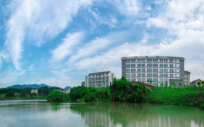 2024考生参考：2023武夷学院旅游管理专业在重庆招生录取分数及录取位次