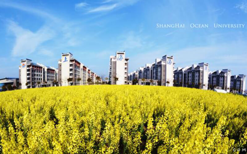2023年上海海洋大学在黑龙江招生专业及招生人数汇总