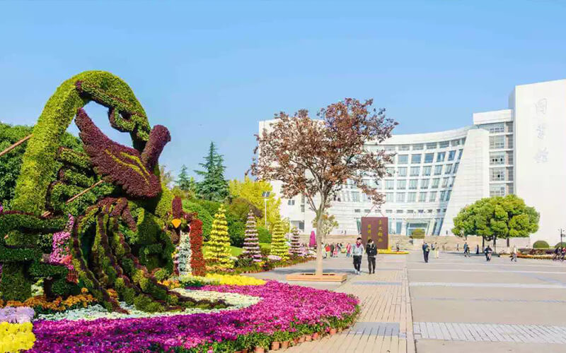 2023年内蒙古考生多少分可以上上海大学工商管理（中外合作办学）专业？