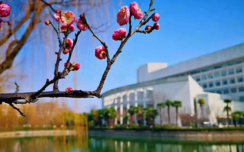 2024考生参考：2023上海大学历史学类专业在浙江招生录取分数及录取位次