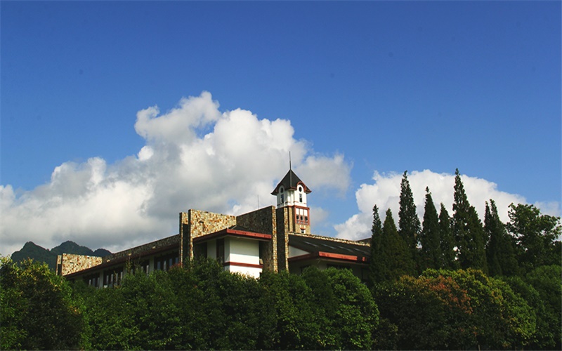 2024考生参考：2023成都东软学院英语专业在山东招生录取分数及录取位次
