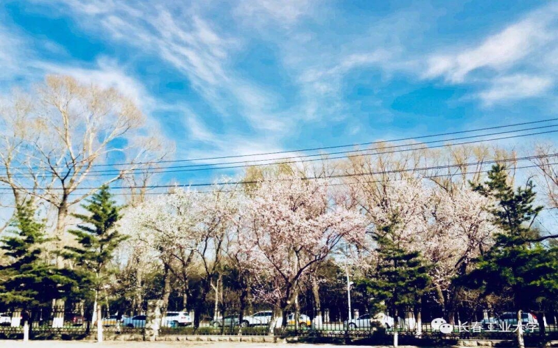 辽宁物理类考生排多少名可以上长春工业大学环境工程专业?