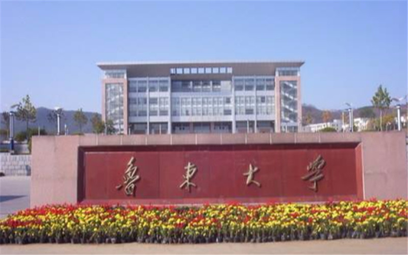 2024考生参考：2023鲁东大学朝鲜语专业在山东招生录取分数及录取位次