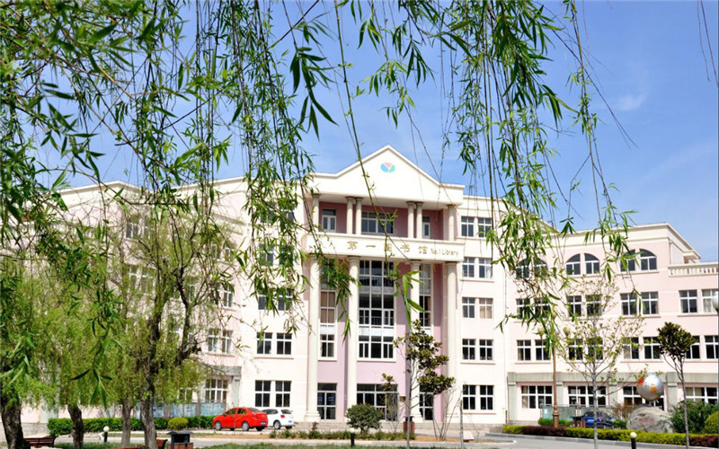 多少分可以上青岛滨海学院？青岛滨海学院2022年在吉林各招生专业录取分数汇总