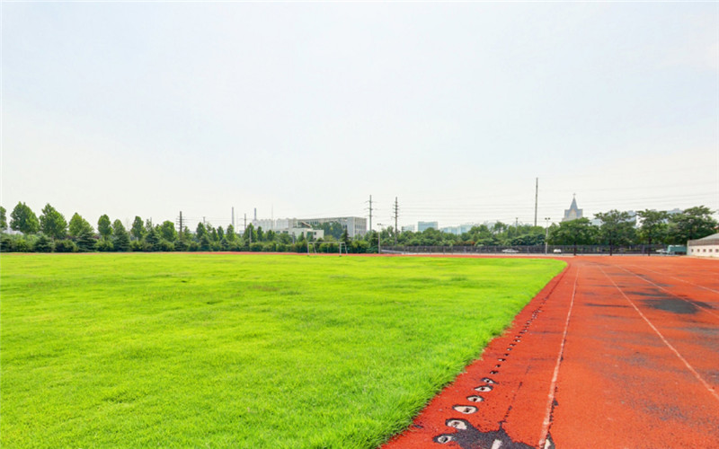 2023年潍坊科技学院在河北招生专业及招生人数汇总(2024考生参考)