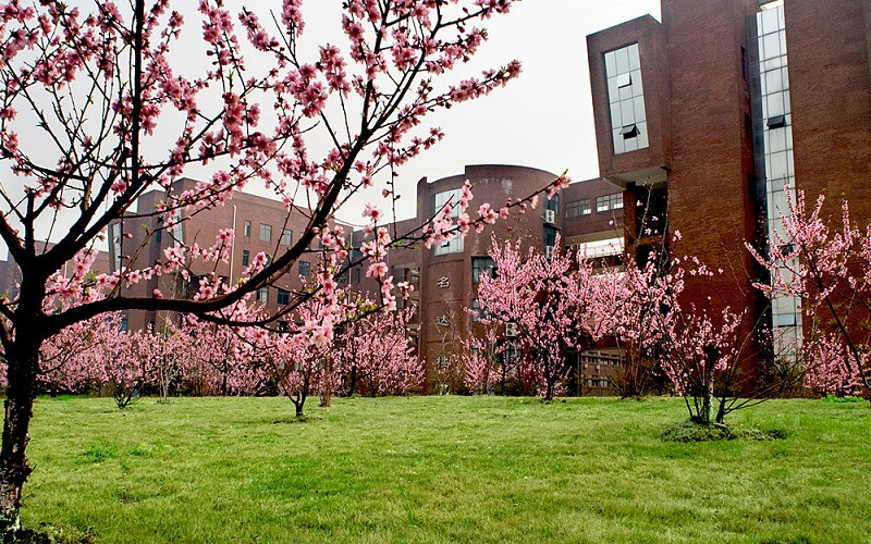 江西师范大学物理学专业录取分数线【重庆高考物理类】