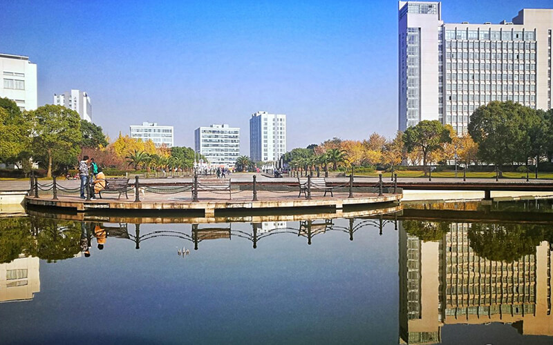 河北物理类考生排多少名可以上上海第二工业大学数据科学与大数据技术专业?