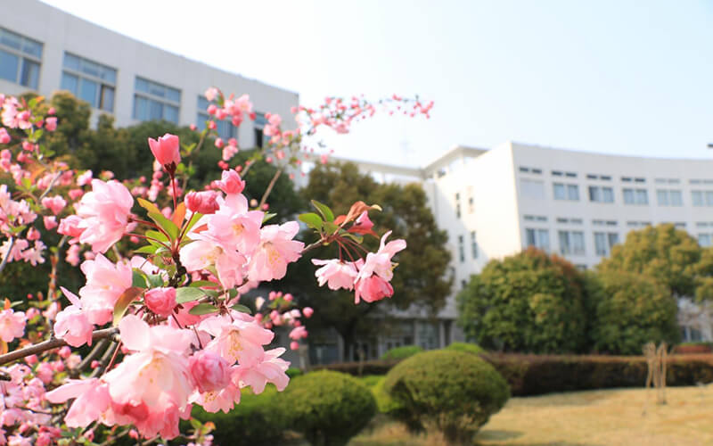 上海第二工业大学数据科学与大数据技术专业在浙江招生录取分数(综合)：603分