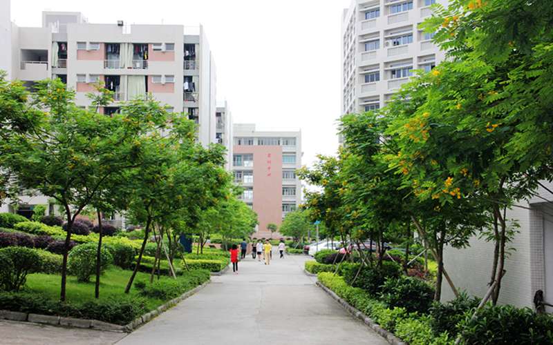 2023年广州现代信息工程职业技术学院在青海录取批次及录取分数参考