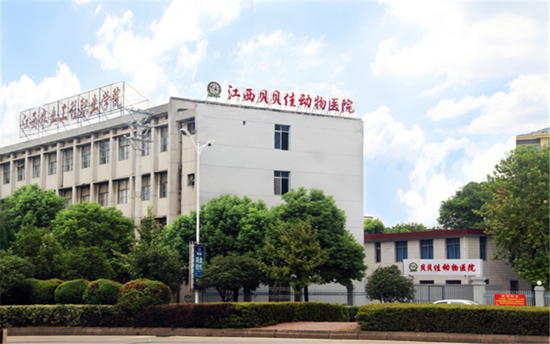 江西农业工程职业学院计算机网络技术专业在河北招生录取分数(物理类)：415分