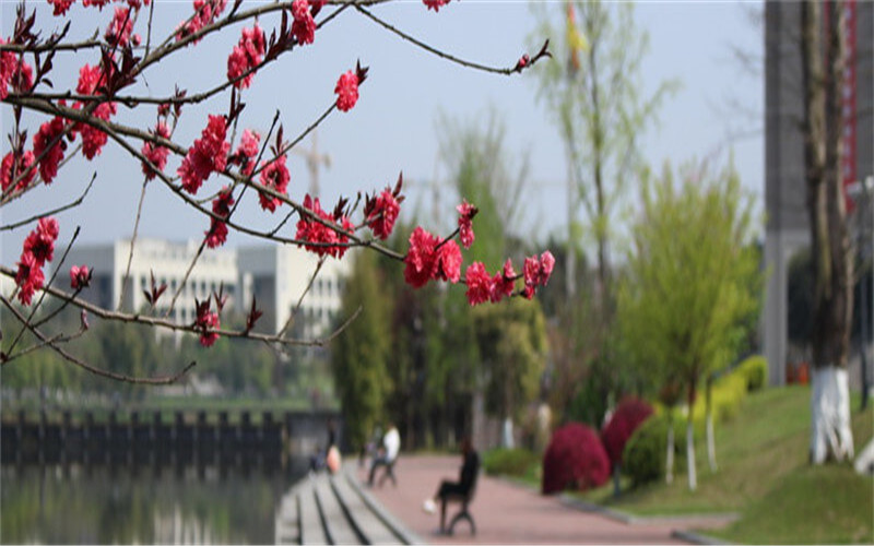 2023年重庆交通大学在广西录取批次及录取分数参考