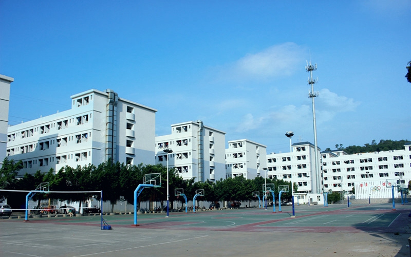 2023年广东南方职业学院在广东招生专业及招生人数汇总