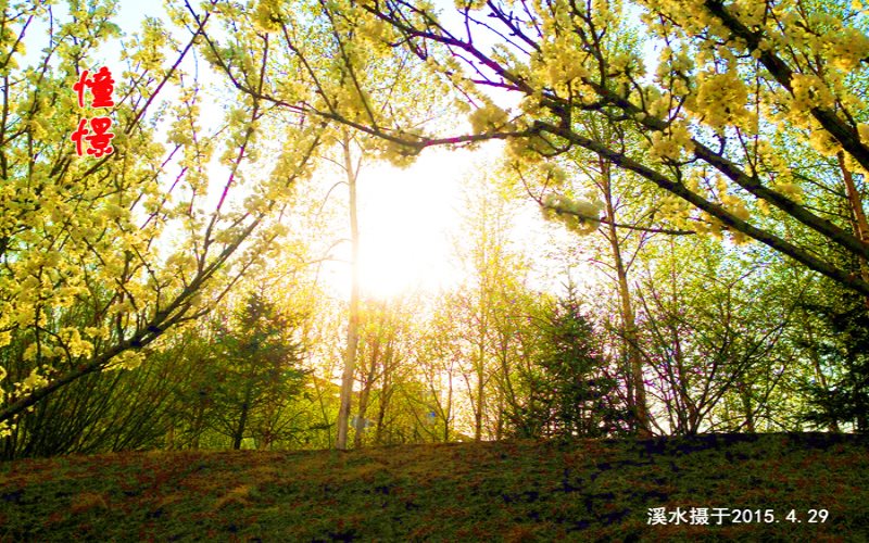 吉林科技职业技术学院医学美容技术专业在河北招生录取分数(物理类)：255分